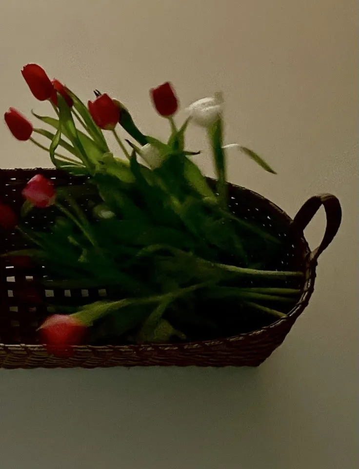 Bounty Basket, Long