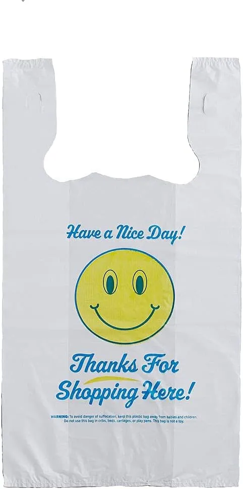 Charm Your Prince CYP 100 Have a Nice Day Disposable Plastic Shopping Gift Bags with Handles - Medium - 11 1/2" x 6" x 21"