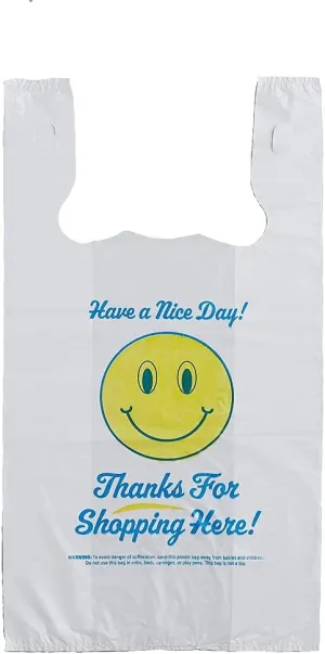 Charm Your Prince CYP 100 Have a Nice Day Disposable Plastic Shopping Gift Bags with Handles - Medium - 11 1/2" x 6" x 21"
