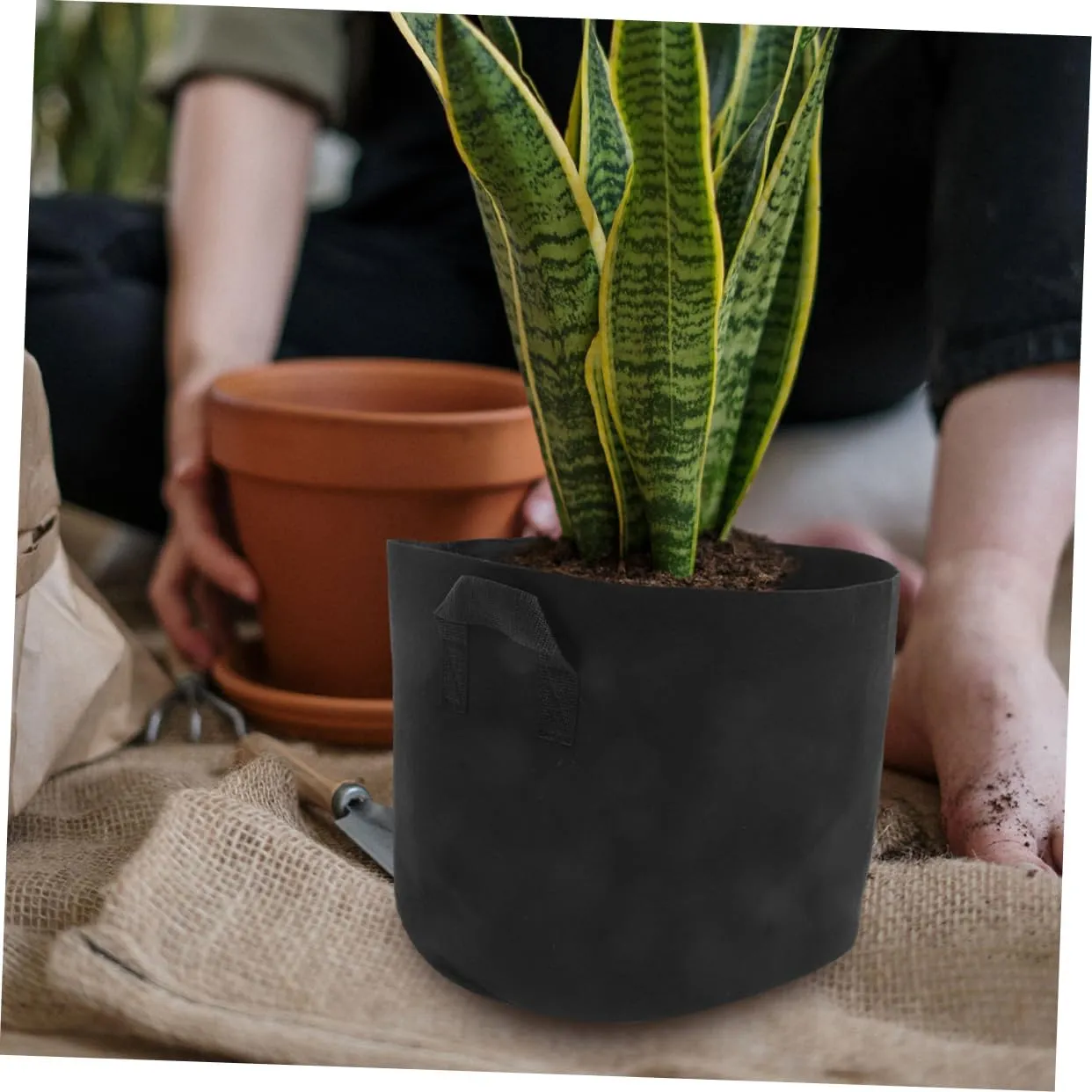 Gallon Grow Bags Non-Woven Fabric Plant Growing Bags for Vegetables Flowers and Succulents Easy Drainage Portable Plant Containers
