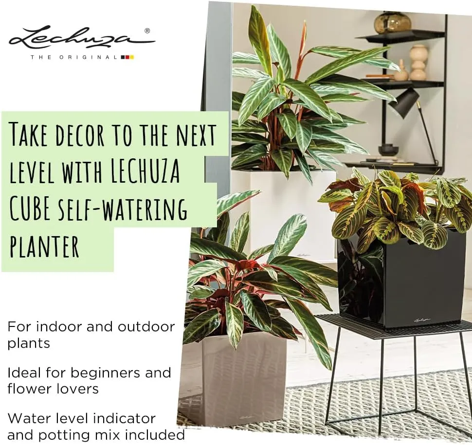 Lechuza 16463 Cube Premium 30 - Charcoal Metallic