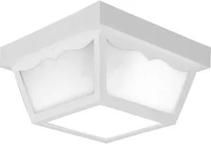 Progress Lighting P5745-30 Ceiling Mount Transitional Indoor Outdoor Close to Ceiling Flush Mount Light, 10.25-Inch Diameter x 5.5-Inch Height, 2-Light, White