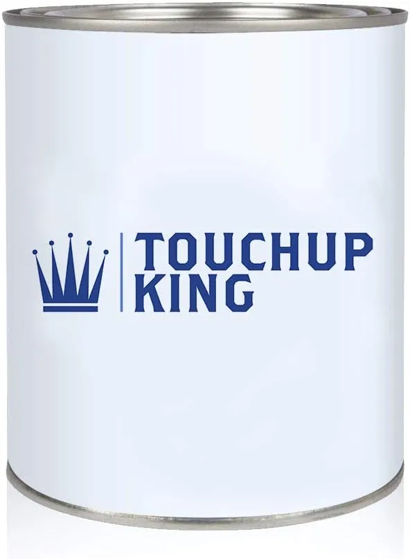 Touch Up King EAW Pacific Sunset Metallic Pint of Basecoat Paint