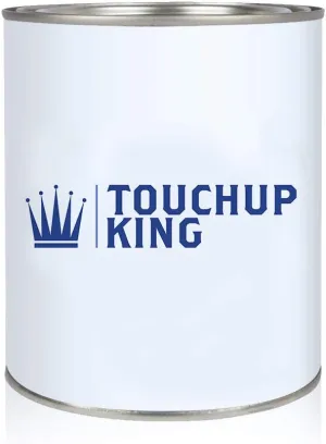 Touch Up King EAW Pacific Sunset Metallic Pint of Basecoat Paint