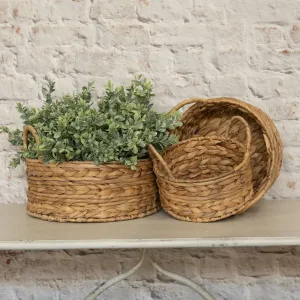 Woven Baskets with Handles